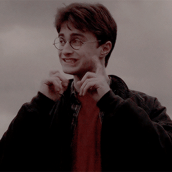 tumblr_nnyvx3ppje1rvnq90o3_250